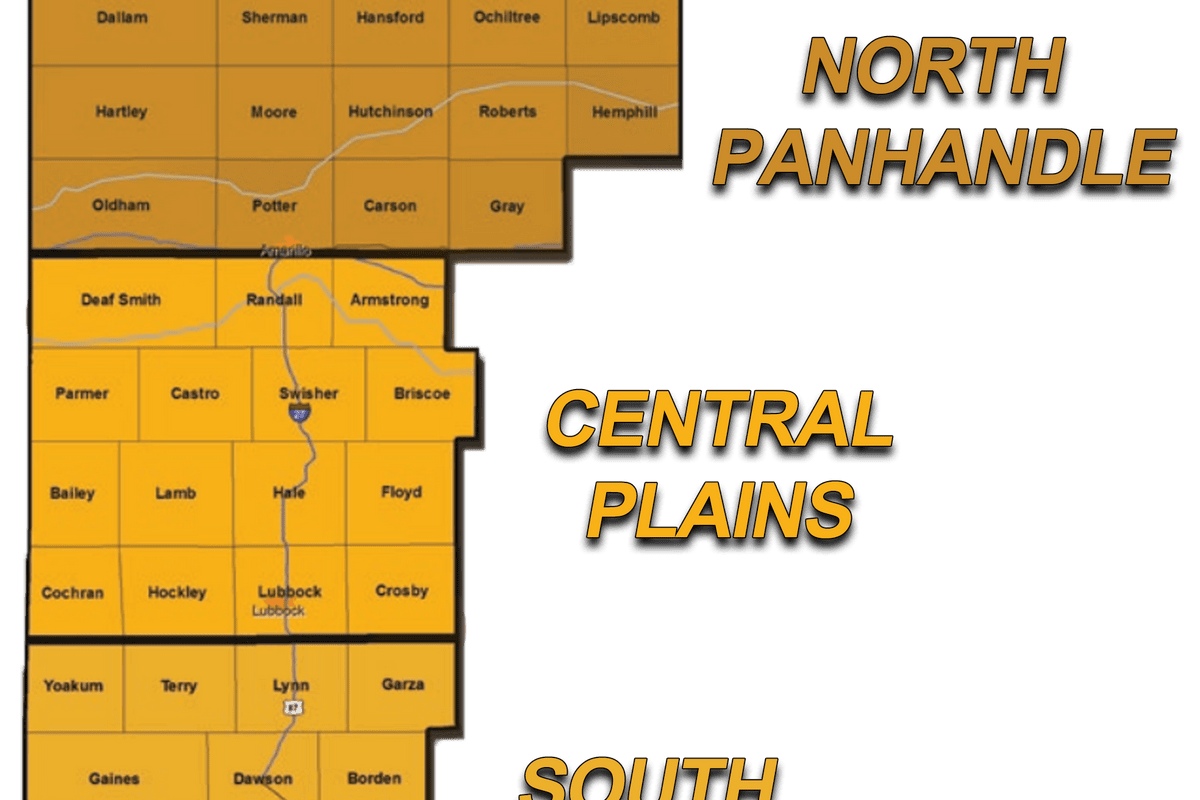 2023: State of the Texas Region 1 Land Market