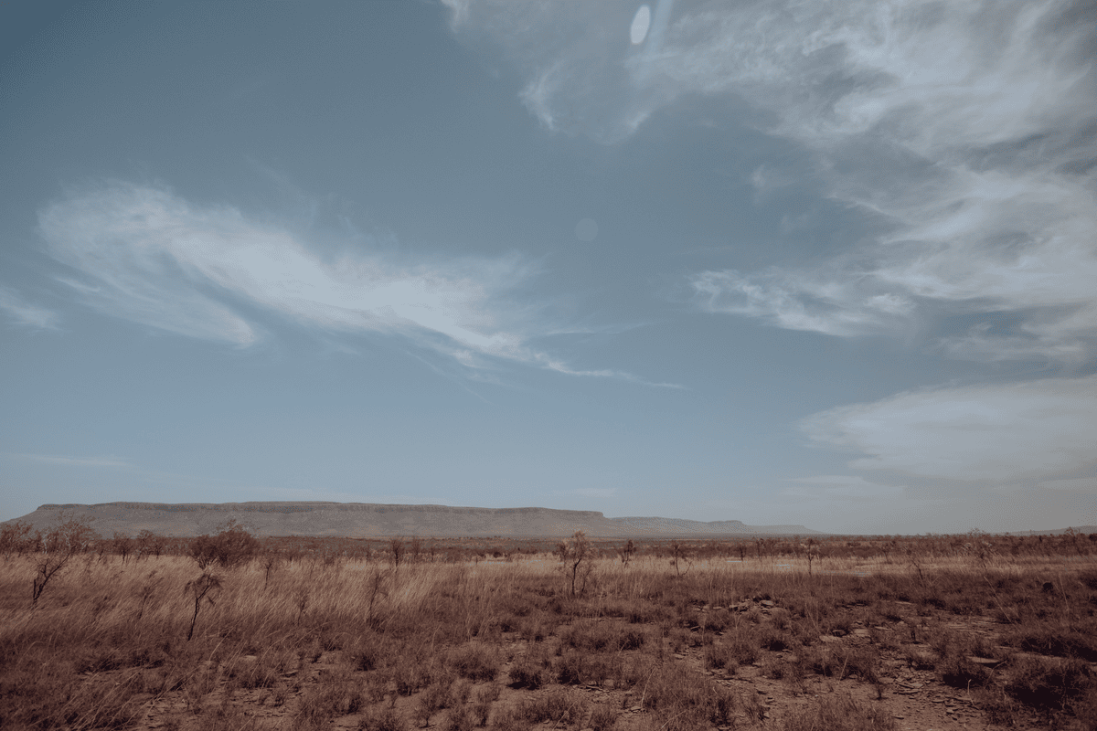 Will the Music Stop in Land Prices?