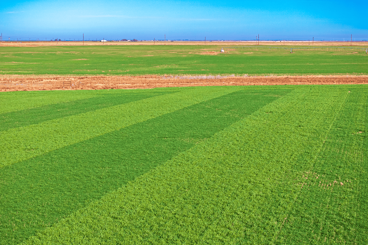 What Can You Buy with a 1031 Exchange? A Landowner’s Guide to Reinvestment Options