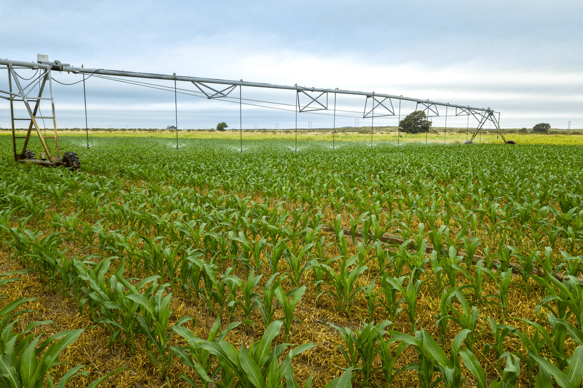 Section 180 Soil Fertility Deductions: A Hidden Tax Strategy for Farmland Owners in West Texas