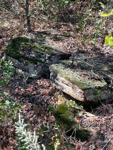 80 Acres in Breckenridge, Stephens County, TX