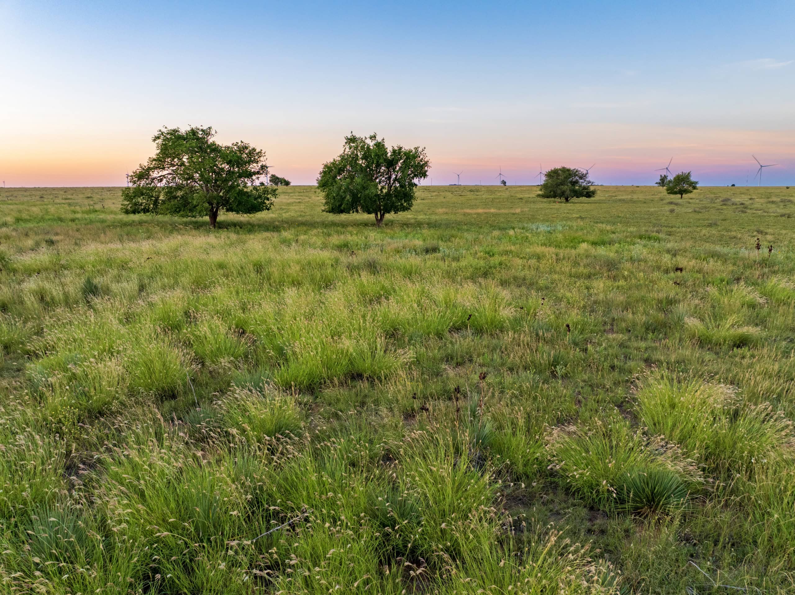 Conservation Easement Land in the South Plains and Panhandle: What Buyers and Sellers Need to Know