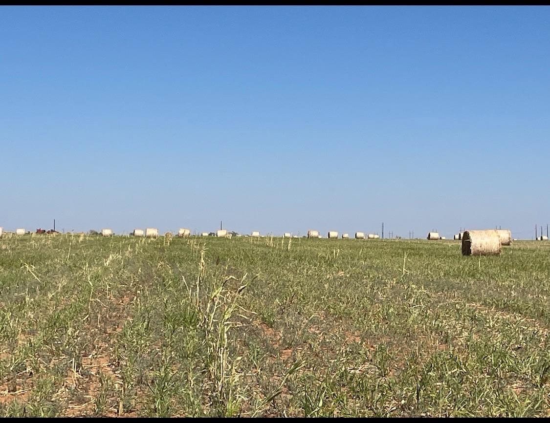 107.33 Acres in Lubbock, Lubbock County, TX