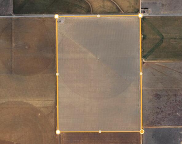 217.06 Acres in Lockney, Floyd County, TX
