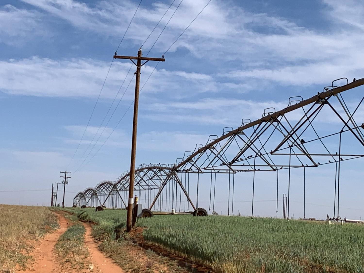 134 Acres in Ropesville, Hockley County, TX