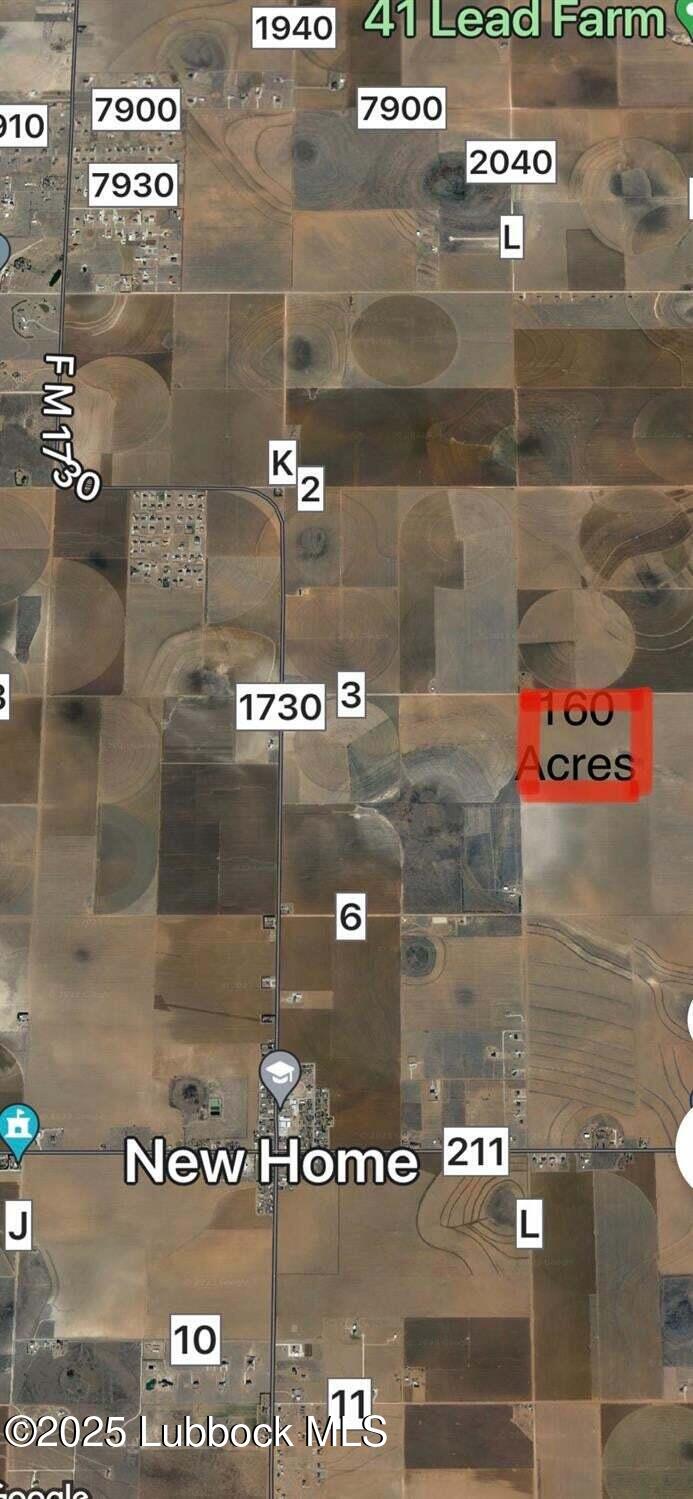 160 Acres in New Home, Lynn County, TX