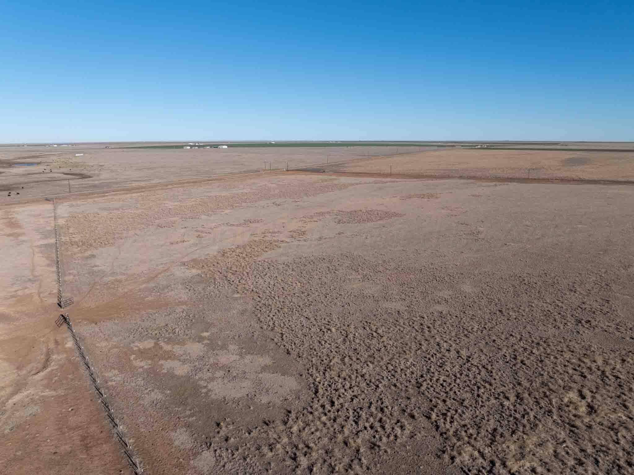 58 Acres in Happy, Randall County, TX