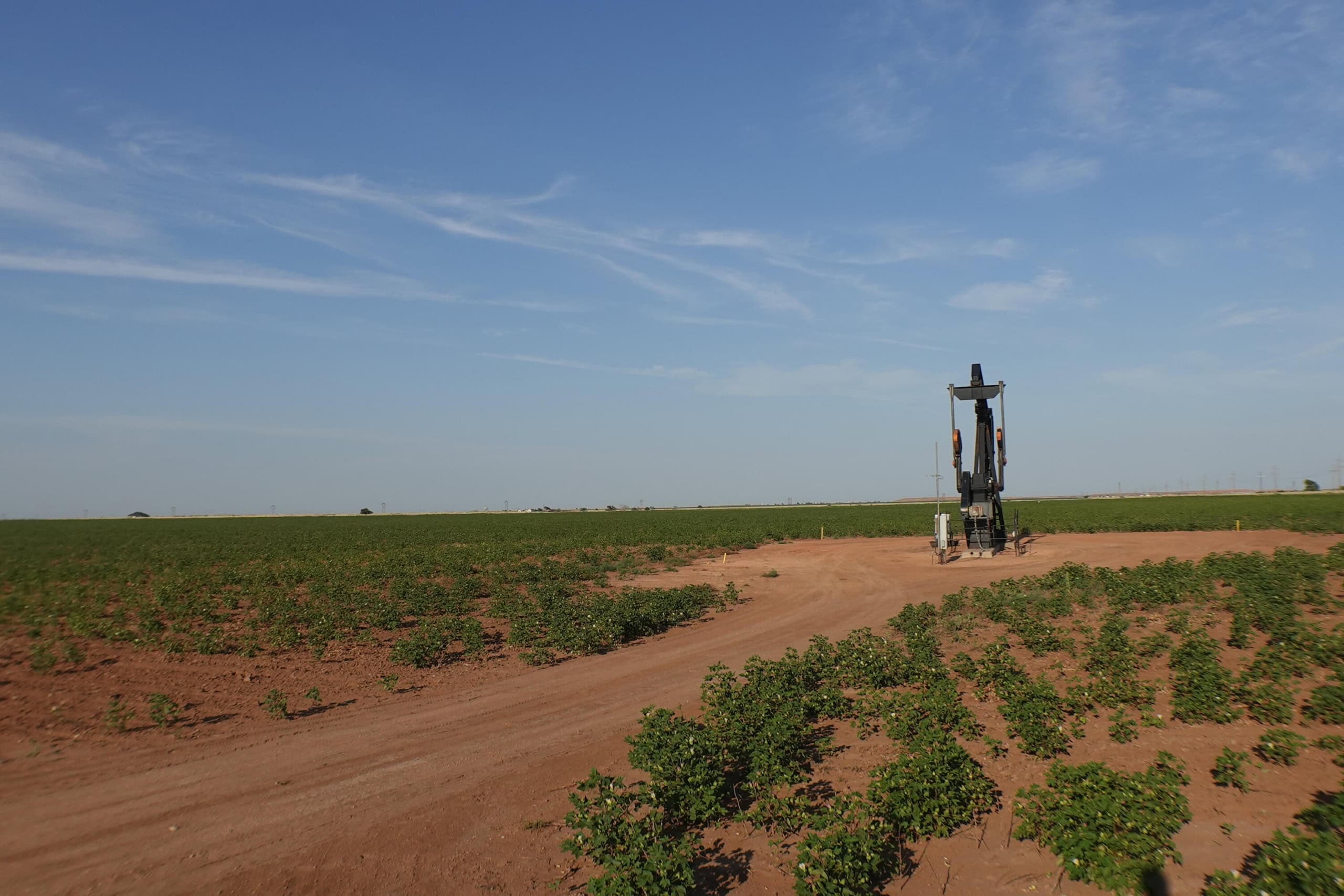 339.50 Acres in Abernathy, Lubbock County, TX