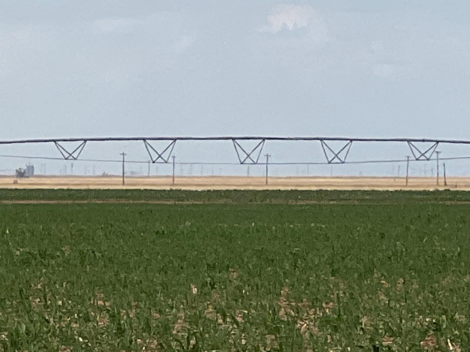 257.50 Acres in Plainview, Hale County, TX
