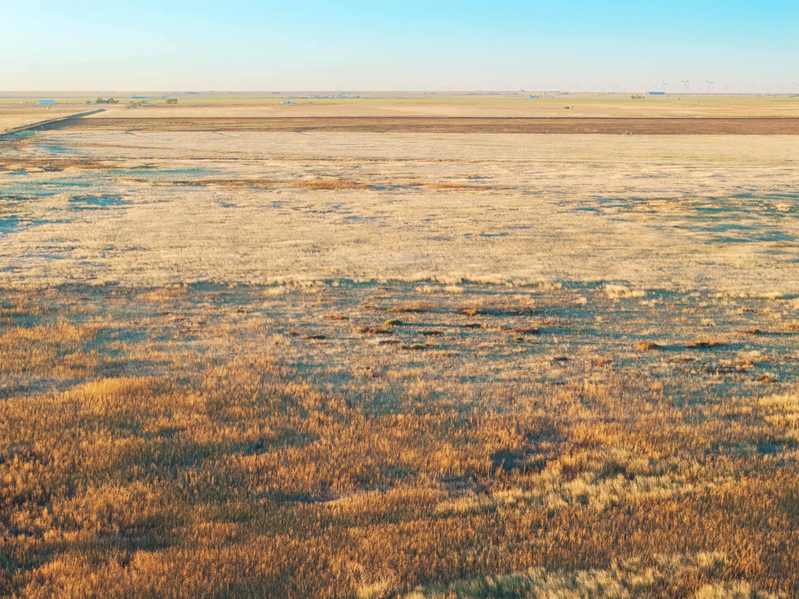 405 Acres in Hereford, Castro County, TX