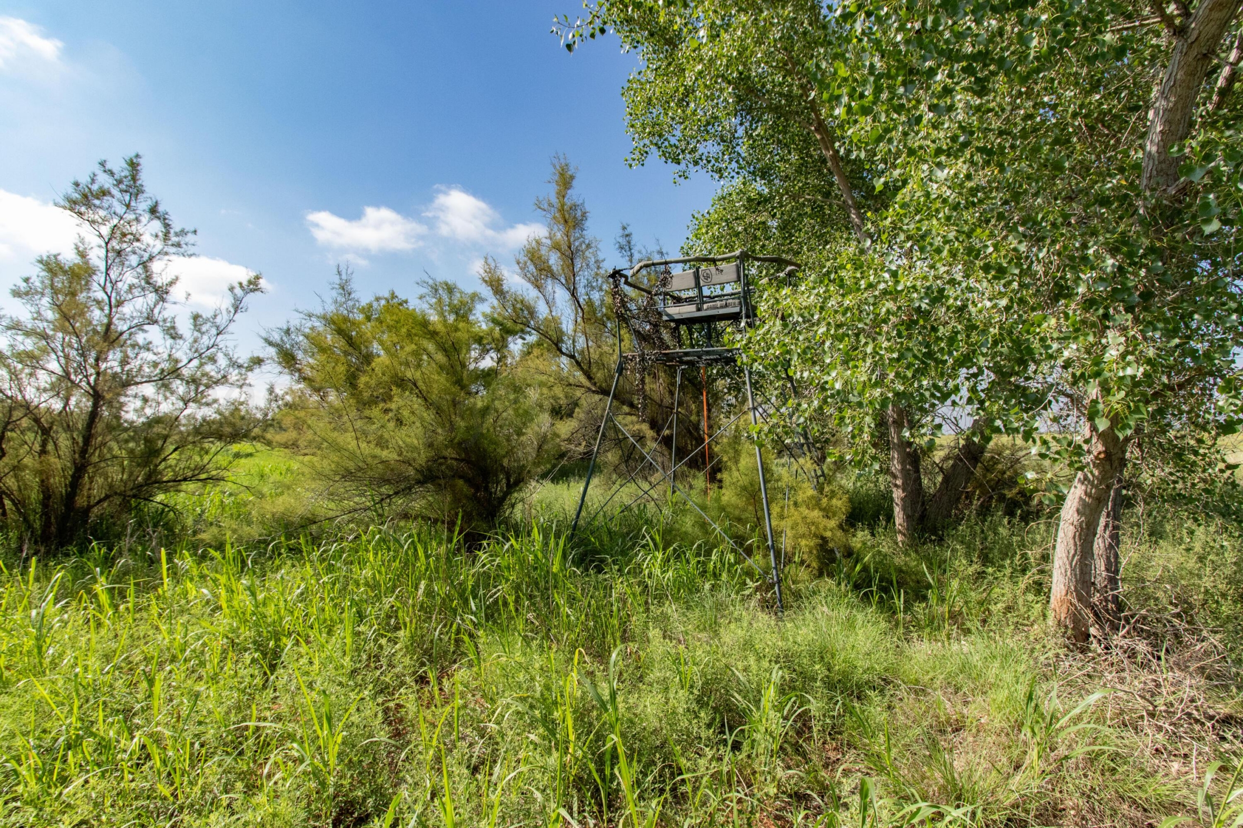 160 Acres in Memphis, Hall County, TX