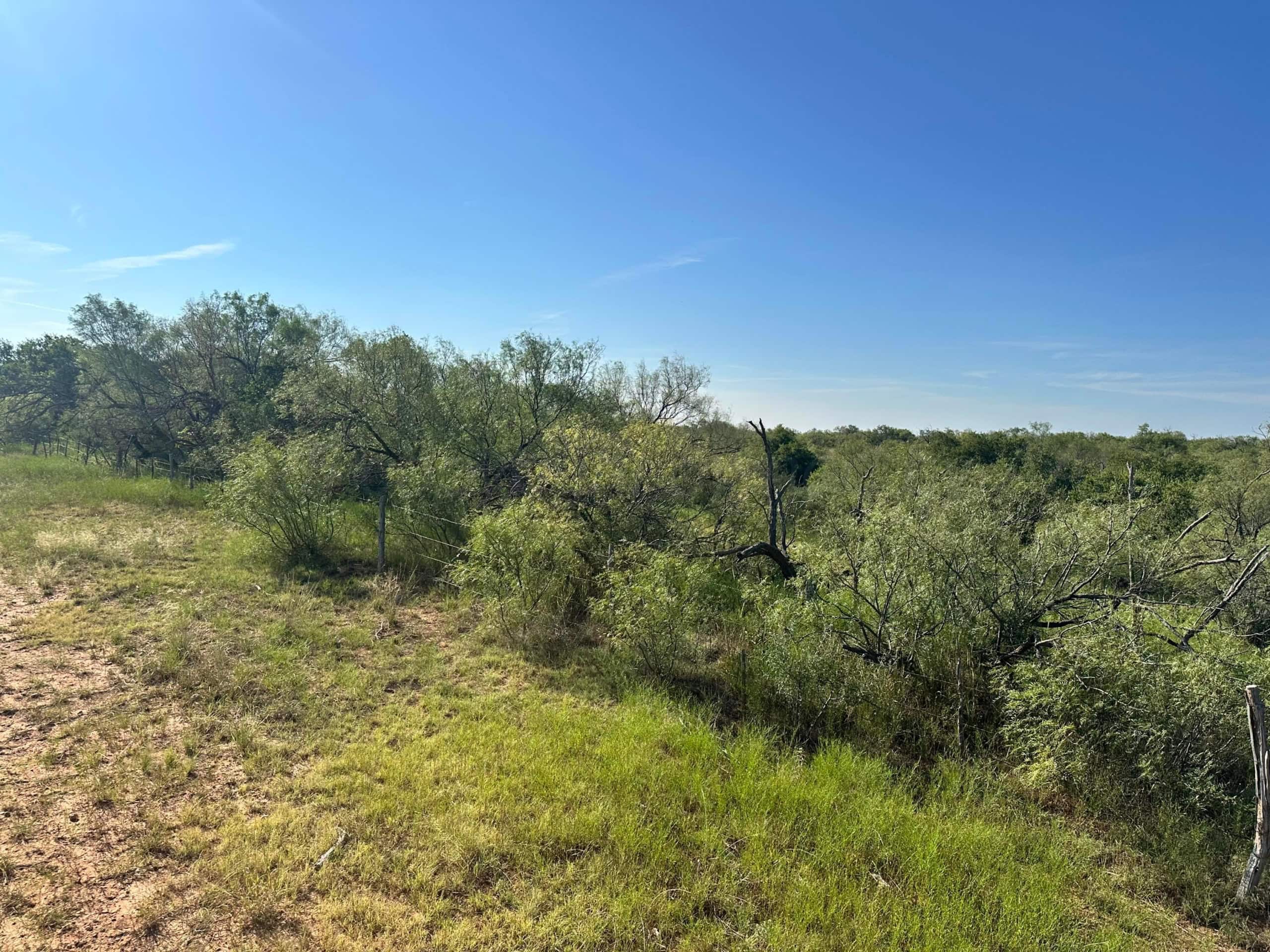 161.75 Acres in Matador, Motley County, TX