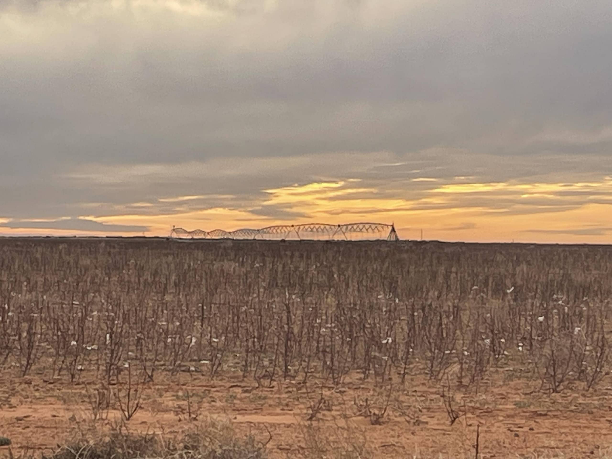 640 Acres in Loop, Gaines County, TX