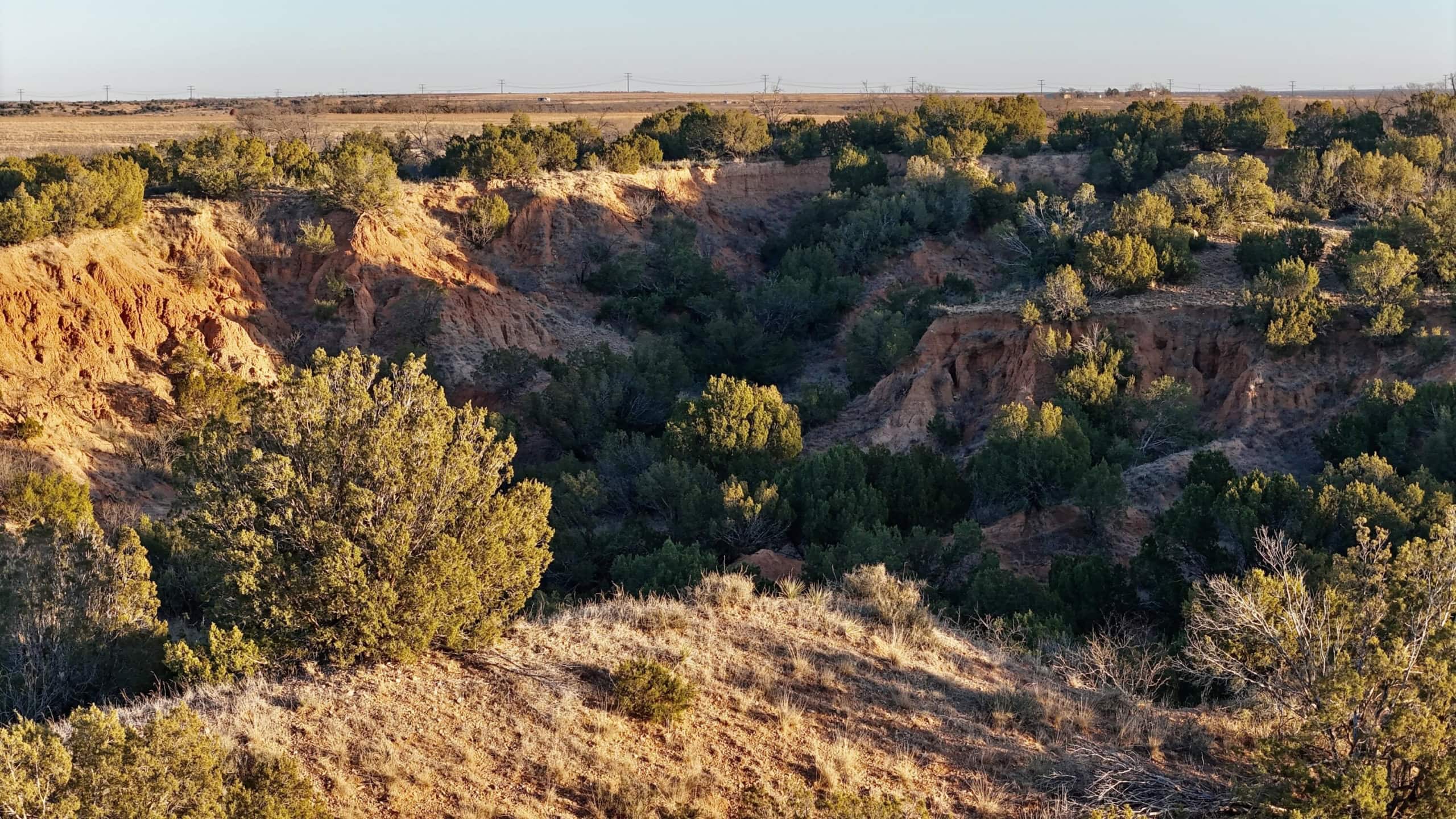 419 Acres in Turkey, Hall County, TX