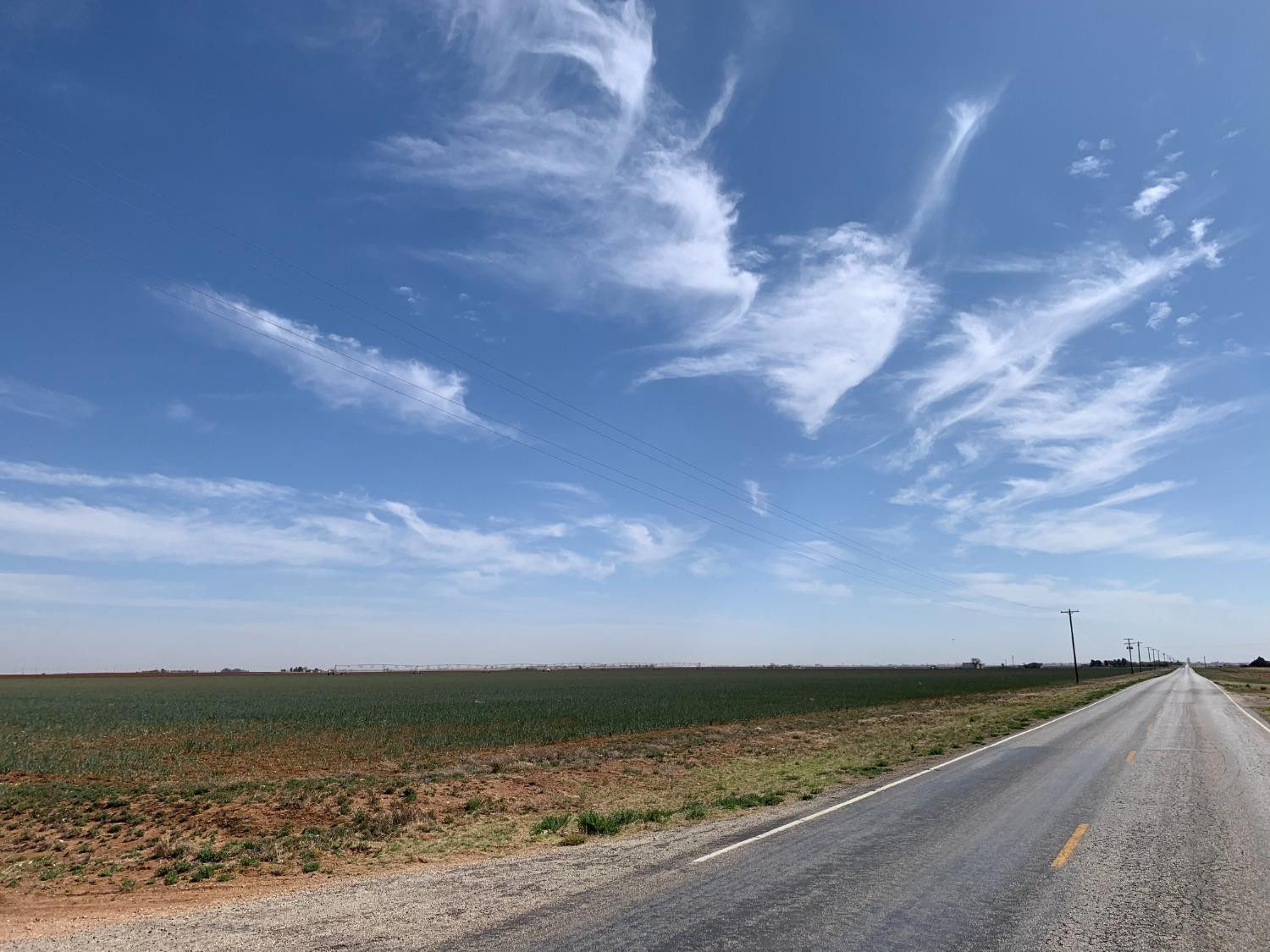 216.96 Acres in Ropesville, Hockley County, TX