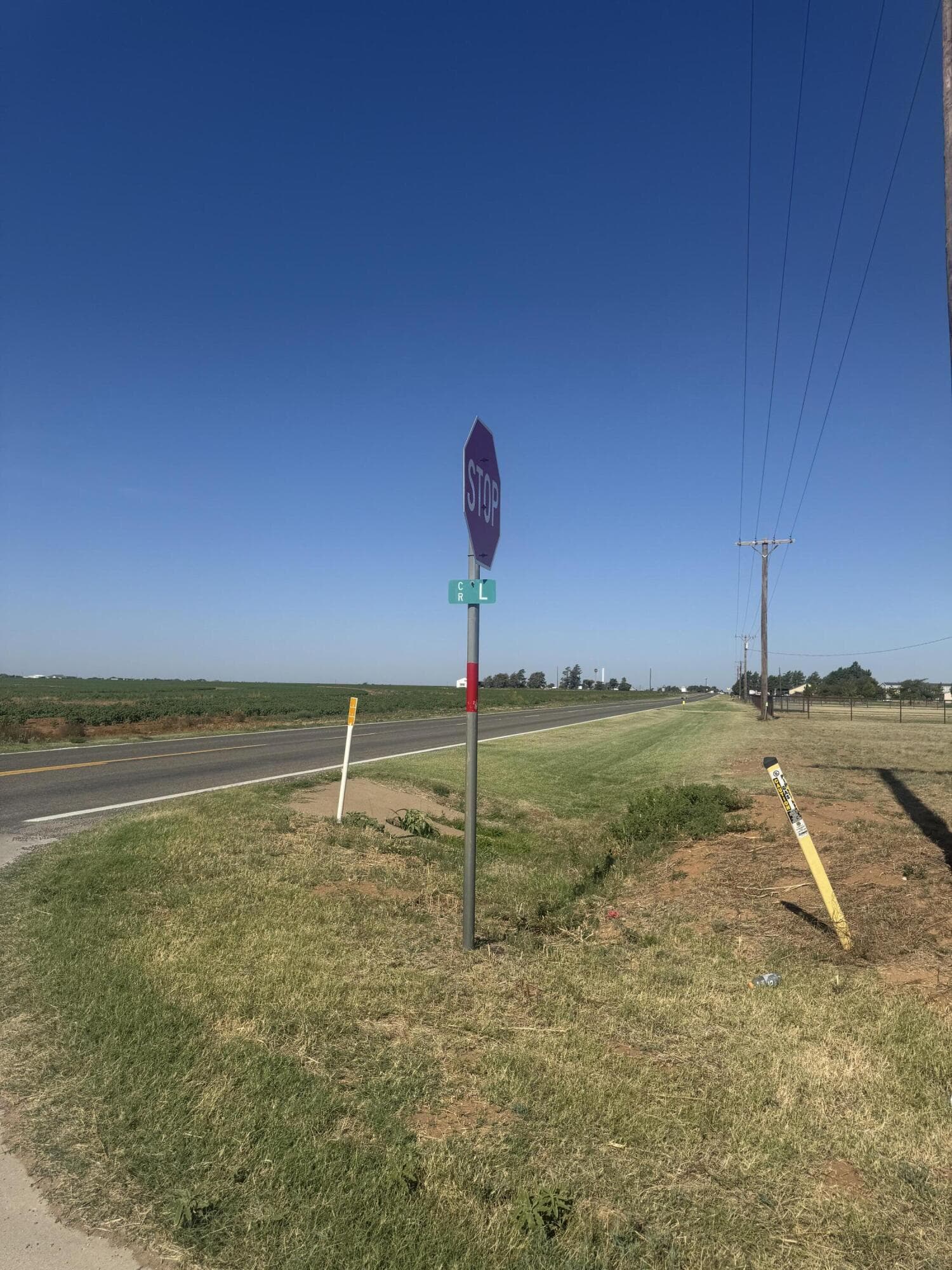 267.78 Acres in New Home, Lynn County, TX