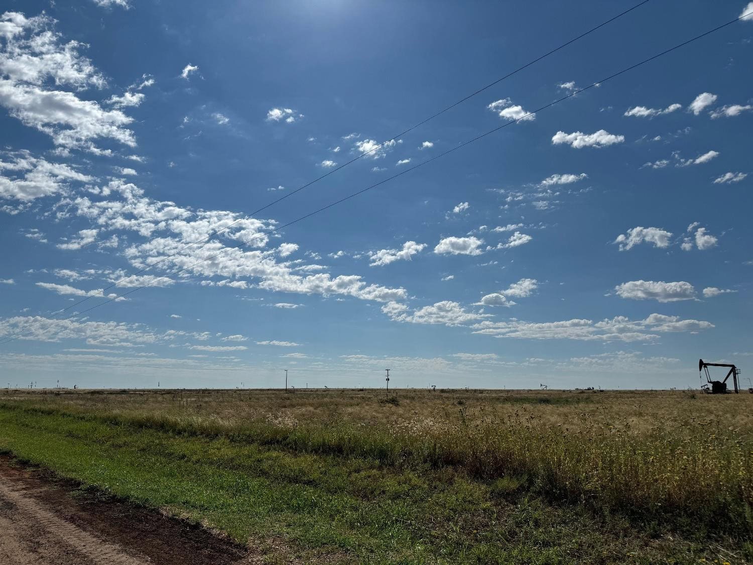 169 Acres in Levelland, Hockley County, TX
