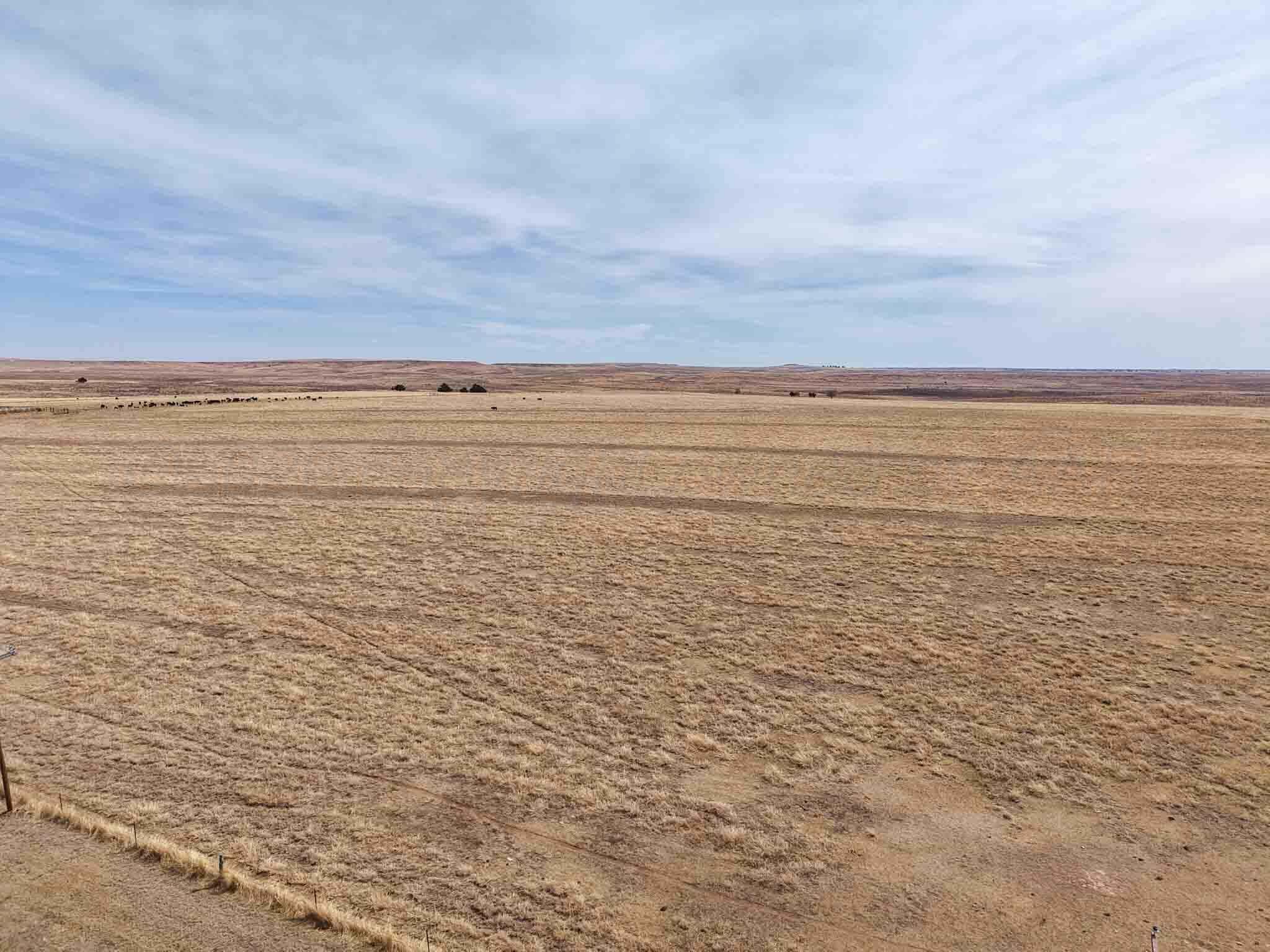 848.80 Acres in Mobeetie, Wheeler County, TX