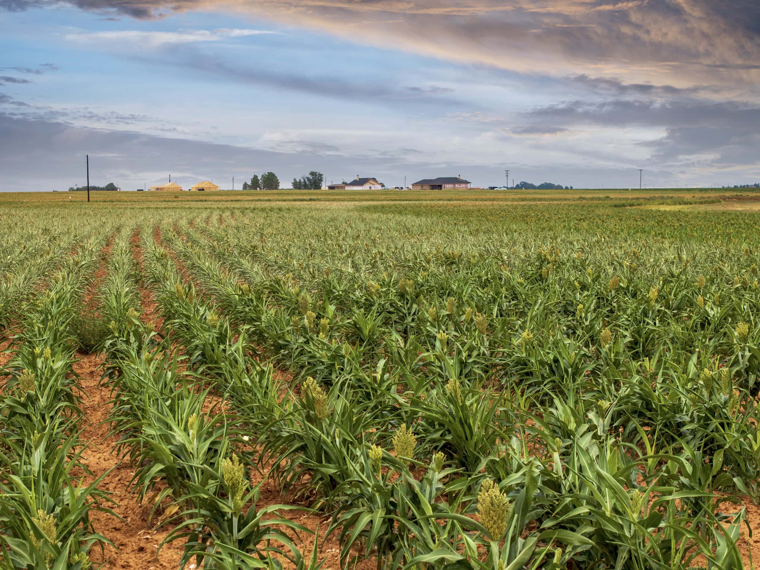 6 Ropes Estates: 11.04 acres Ropesville, Hockley County, Texas